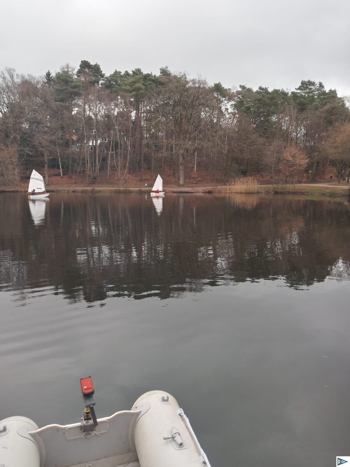 Eisarsch-Regatta auf dem Buchholzer Stadtteich