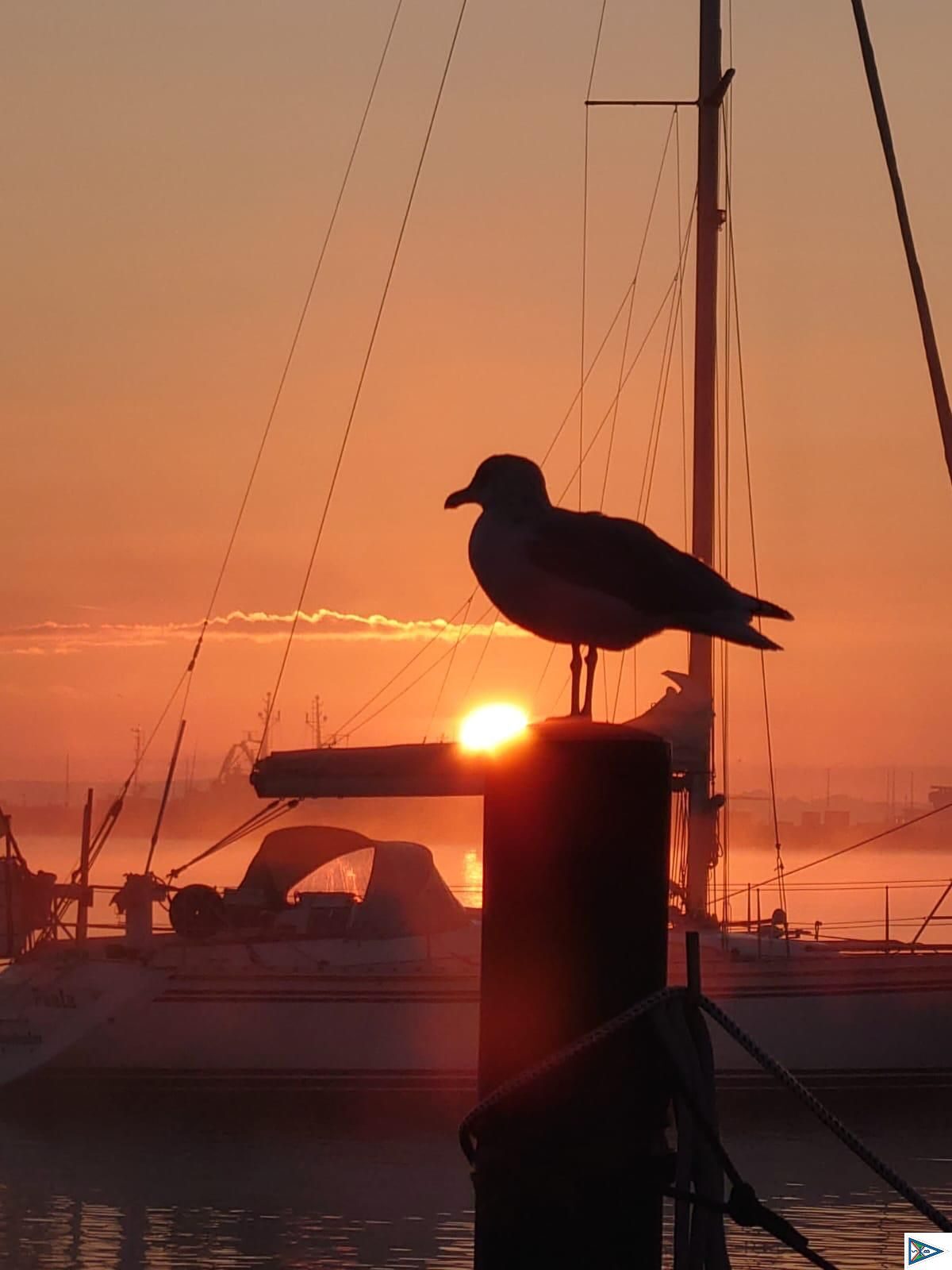 Impressionen vom Absegeln 2024