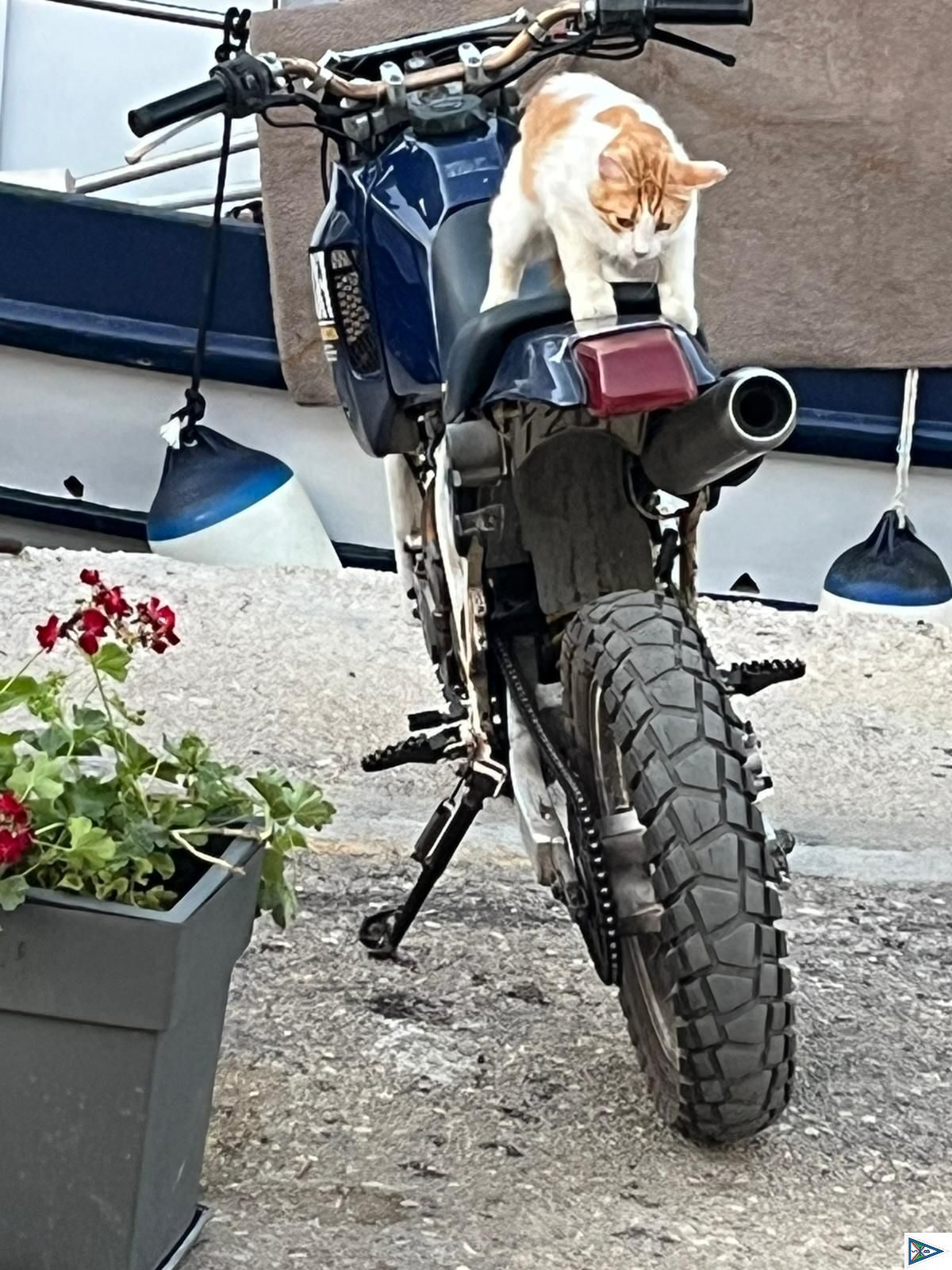 Mit neuer Ankerwinsch unterwegs..