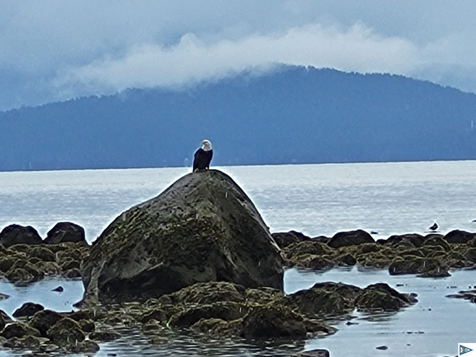 Segeln in der kanadischen Inselwelt